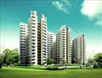 CHD Avenue 71,Apartment for sale in Sohna Road, Gurgaon